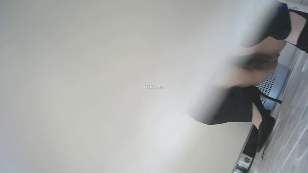 [新片速遞] 办公楼女厕全景偷拍❤️美骚货的多毛大肥鲍[203M/MP4/01:20] | 國內原創 - 我为人人