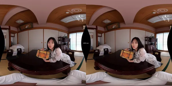 [8KVR] PRVRSS-002 [配信専用VR動画]最高の愛人?涼森れむと秘密のお泊まり旅行VR 濃厚中出しSEX