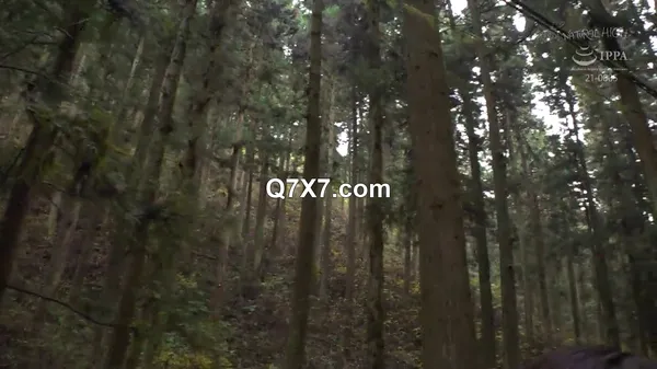 [720p]NHDTB-933 [某旅番組お蔵入り映像]旅ロケで田舎の性豪オヤジたちに盛られイキ潮たれ流し肉便女に成り下がった美人レポーター（21）