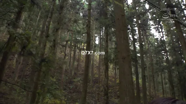 [1080p]NHDTB-933 [某旅番組お蔵入り映像]旅ロケで田舎の性豪オヤジたちに盛られイキ潮たれ流し肉便女に成り下がった美人レポーター（21）