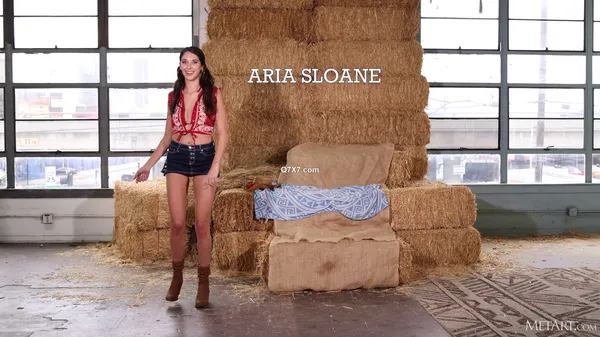[4k]MetArt 25 05 13 Aria Sloane Solo XXX(4K) MP4-HEVC