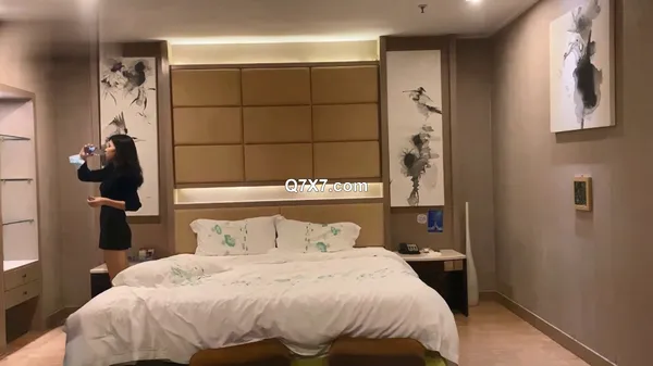 [1080p]麻豆探花合集 二