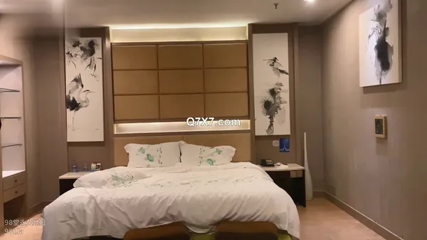 [1080p]麻豆探花合集 二