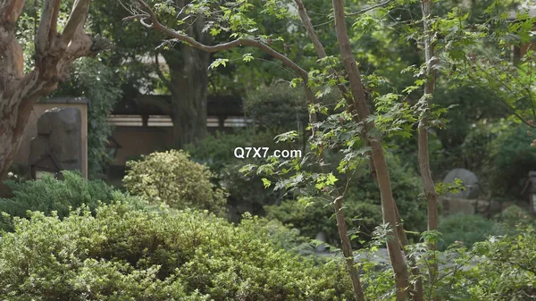 [1080p]EBWH-155 普段は真面目な部下が出張先の温泉相部屋でまさかの豹変！？ 汗だくJcupボディに朝までびしょびしょ痴女られた逆NTR 清宮仁愛