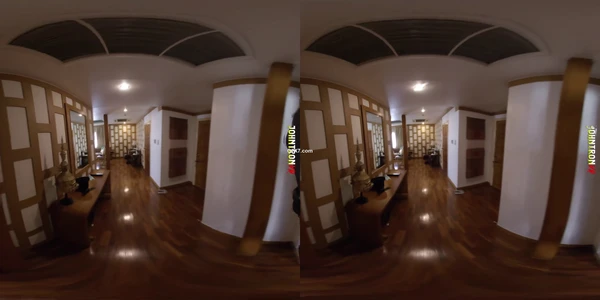 JohnTron VR - SexLikeReal - Mind - デカ尻の小柄なセールスレディは見知らぬ人とヤるのが大好き 2880p