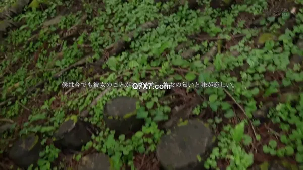 [1080p]START-178 人里はなれた山奥へ移住した元カレを訪ねて…久々の再会に火がついてしまった結婚直前の女と朝まで山ごもりナマ中出し絶倫セックス 宮島めい