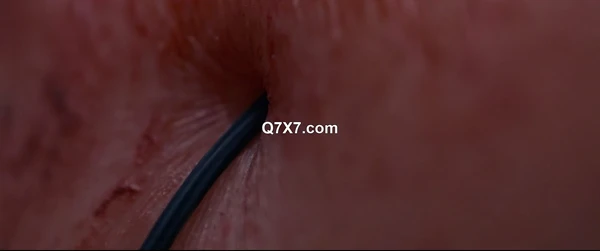 The.Substance.2024.WEB-DL.x265.10bit.AAC5.1 [YTS]