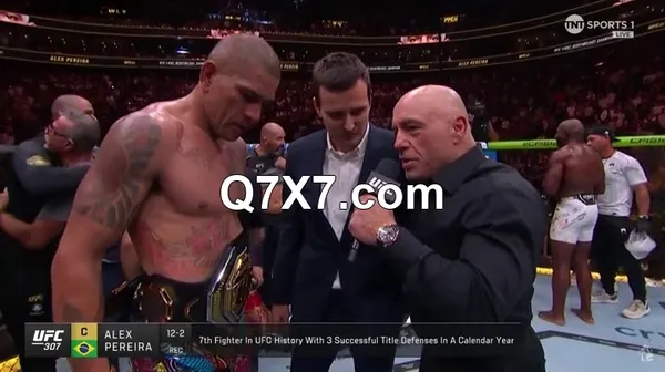 UFC.307.PPV.Pereira.Vs.Rountree.HDTV.x264-PUNCH[TGx]