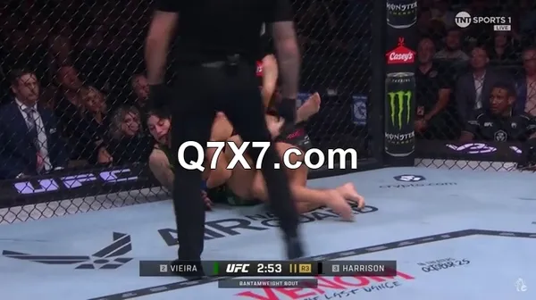 UFC.307.PPV.Pereira.Vs.Rountree.HDTV.x264-PUNCH[TGx]