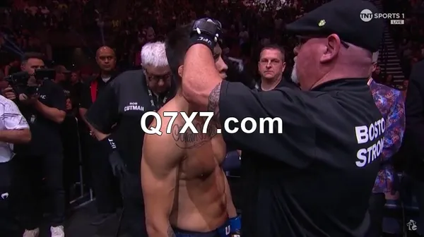 UFC.307.PPV.Pereira.Vs.Rountree.HDTV.x264-PUNCH[TGx]