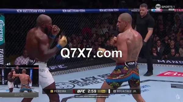 UFC.307.PPV.Pereira.Vs.Rountree.HDTV.x264-PUNCH[TGx]
