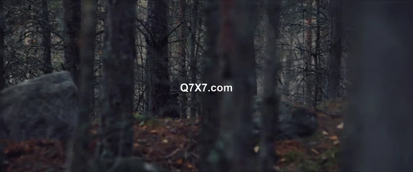 Azrael.Angel.of.Death.2024.WEB-DL.X264.COLLECTiVE