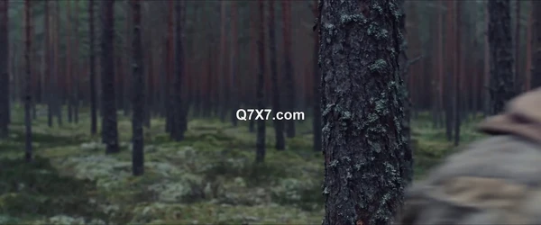 Azrael.Angel.of.Death.2024.WEB-DL.X264.COLLECTiVE