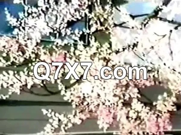 Peropero Candy OVA [Kingmenu].mp4