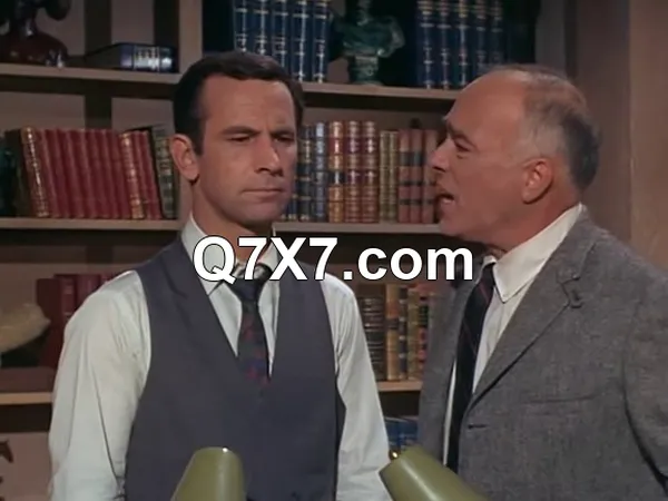 Get Smart (Complete Classic TV Series in MP4 format) [Lando18]