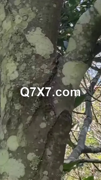 OnlyFans 2025 Angela White XXX-XLeech.mp4