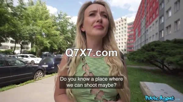 PublicAgent 23 09 13 Ann Joy XXX 480p MP4-H265
