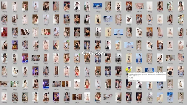 Espacia Korea 韩国网红小仙女性感写真。共63套 3021P